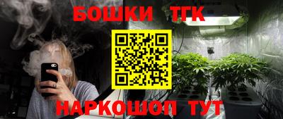 стафф Нальчик