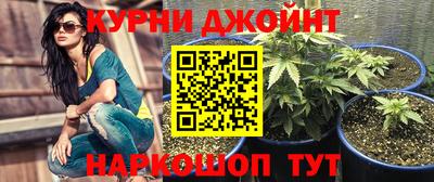 стафф Нальчик